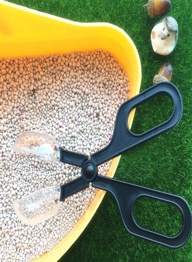 Sage Square Portable Feeder/Food Cum Worm/Insect Feeding Tool for Reptile/Terrarium/Aquarium/Snake/Python/Lizard/Gecko/Iguana/Turtle/Scorpion/Frog/Fish (Mulitcolor) - Image 4